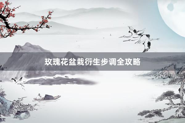 玫瑰花盆栽衍生步调全攻略