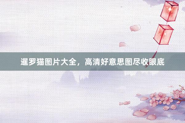 暹罗猫图片大全,高清好意思图尽收眼底