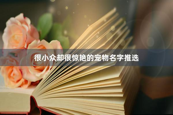 很小众却很惊艳的宠物名字推选